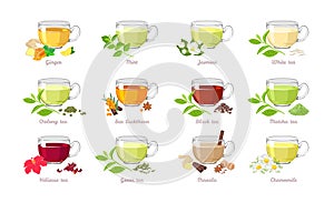 Set of tea of Ã¢â¬â¹Ã¢â¬â¹different types. Vector illustration of collection of popular drinks in cartoon flat style. photo